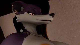 video preview for post 481559