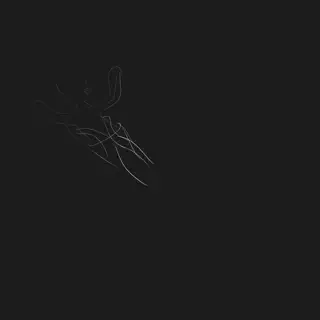 video preview for post 484159