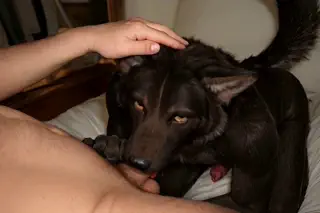 video preview for post 486509