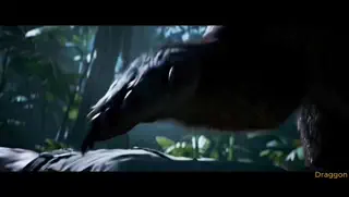 video preview for post 491195
