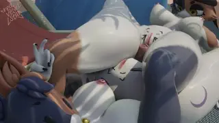 video preview for post 495865