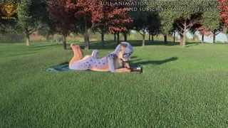 video preview for post 536982