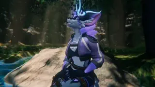 video preview for post 538862