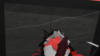 video preview for post 545257