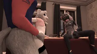 video preview for post 557785