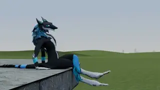 video preview for post 602156