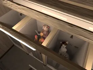 video preview for post 607877