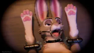 video preview for post 63328