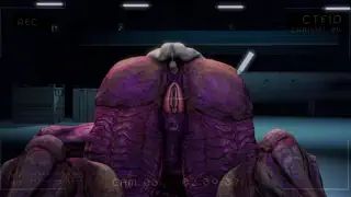 video preview for post 641884