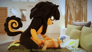 video preview for post 66412