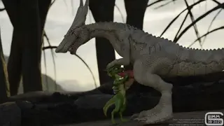 video preview for post 683942