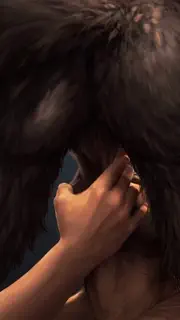 video preview for post 68515
