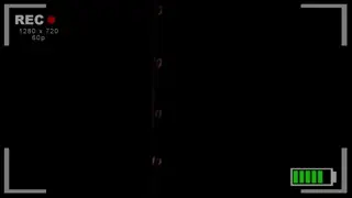 video preview for post 715943