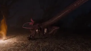video preview for post 719178