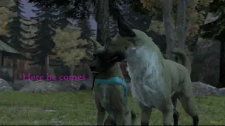 video preview for post 75415