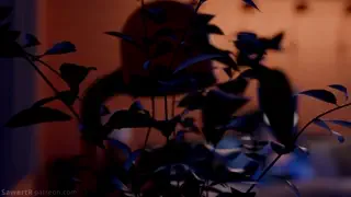 video preview for post 756937