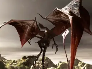 video preview for post 783366