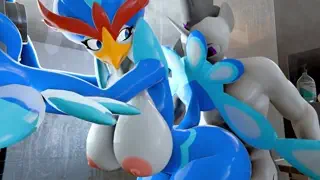 video preview for post 80061