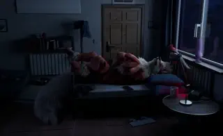 video preview for post 81099