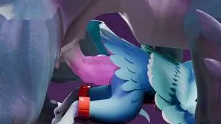 video preview for post 81278