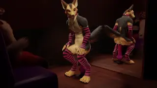 video preview for post 831477