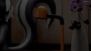 video preview for post 838333