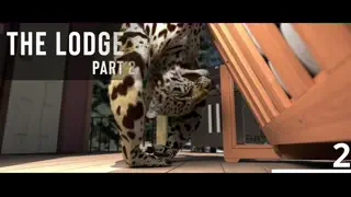 video preview for post 84196
