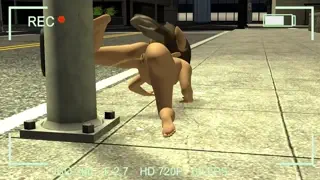 video preview for post 84661