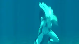 video preview for post 85290