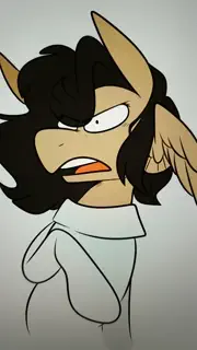 video preview for post 862483