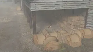 video preview for post 935273